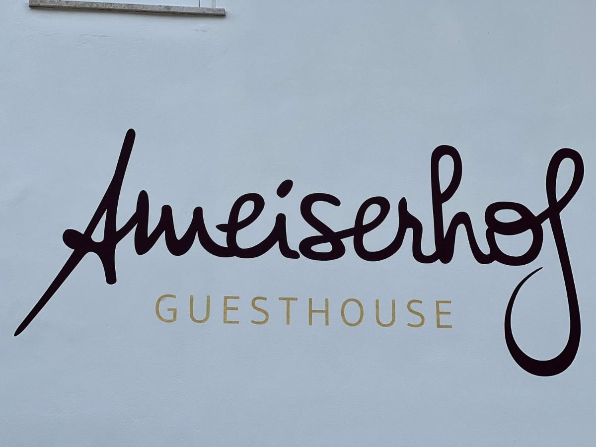 Ameiserhof Guesthouse Collalbo Exteriör bild